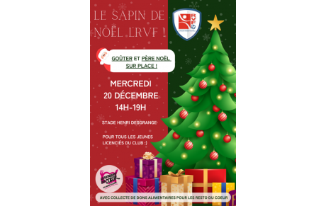 SAPIN DE NOËL LRVF !